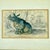 English James Stewart Indian Rhinoceros Hand Colored Copper Engraving, Framed – 1836 For Sale - Image 3 of 11