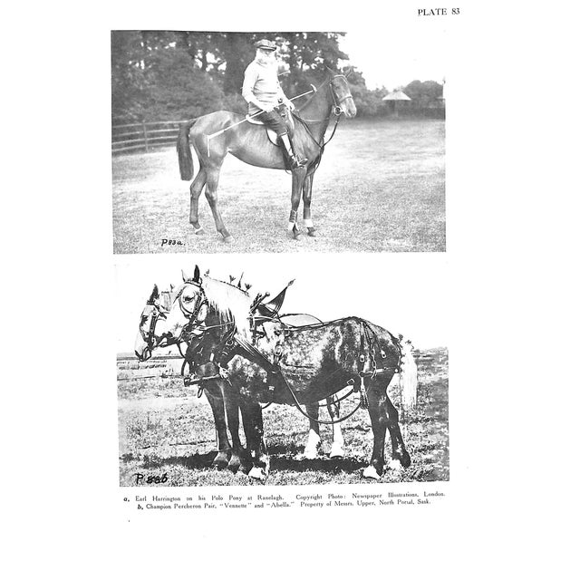 "Modern Horse Management" 1915 Timmis, Major Reginald S. For Sale - Image 10 of 11