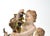Meissen, Allegory of Autumn Porcelain Sculpture with Gold Accents, Porcelain For Sale - Image 5 of 6