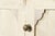 Large English Bleached Pine Locker Cabinet, 1890 For Sale - Image 9 of 16