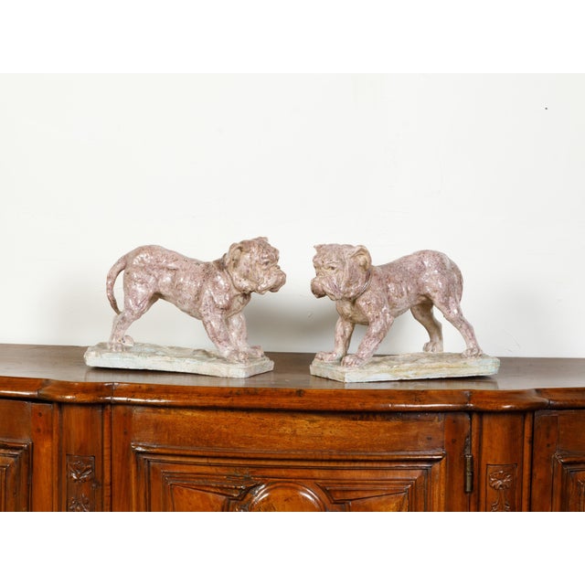 A pair of French faience bulldogs from the 19th century, on rectangular terracotta bases. Created in France during the...