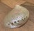 Mid 20th Century Mid 20th Century Abalone Shell For Sale - Image 5 of 6