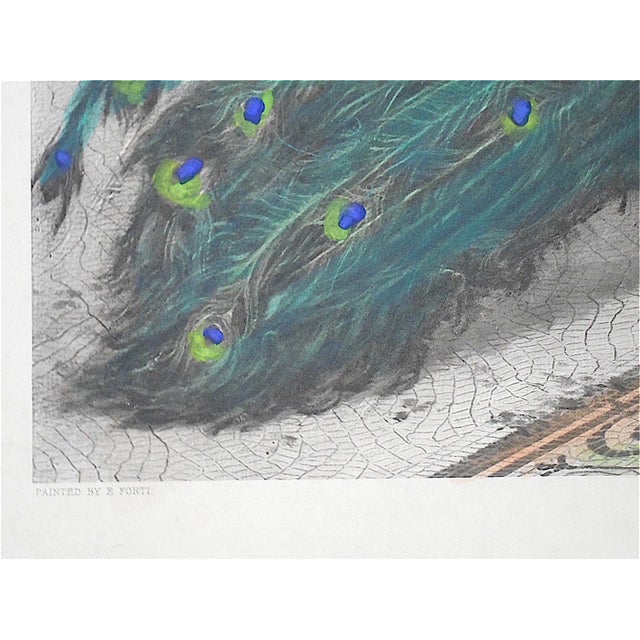 Neoclassical Large Antique Lithograph "Gentle Pastime" For Sale - Image 3 of 7