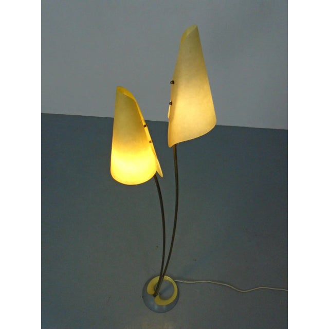 Fiberglass & Brass Floor Lamp by Carl Auböck for Dame & Co. Neheim, Germany, 1950s For Sale - Image 10 of 18