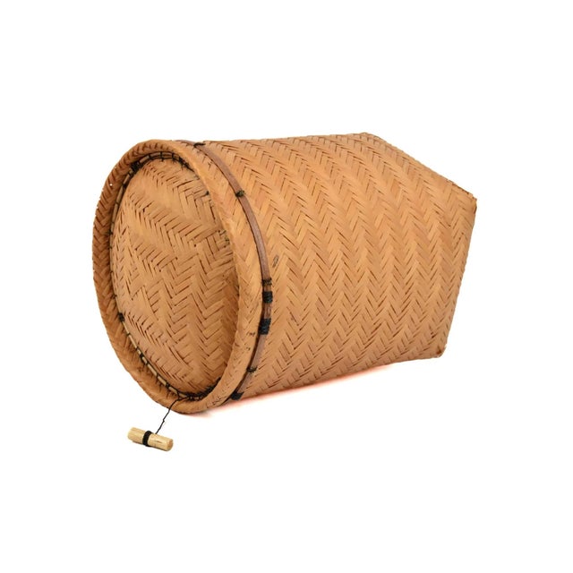 Early 20th Century Early 20th Century Ye'kuana Amazonian Basket South America For Sale - Image 5 of 6