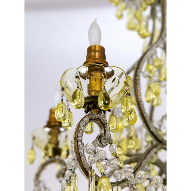19th Century Pale Yellow Crystal Drops Birdcage Chandelier For Sale In San Francisco - Image 6 of 12