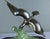 Charles Ruchot, Bird in Flight, 1920s, Bronze For Sale - Image 14 of 18