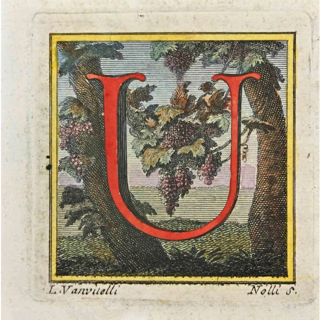 Letter of the Alphabet U, from the series "Antiquities of Herculaneum", is an original etching on paper realized by Luigi...