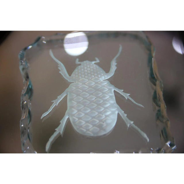 Mid 20th Century Glass Engraved Scarab Beetle Coaster For Sale - Image 5 of 12