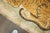 Early 20th Century Rare Antique Zabihi Collection Tiger Large Rug - 4' x 6' For Sale - Image 5 of 12