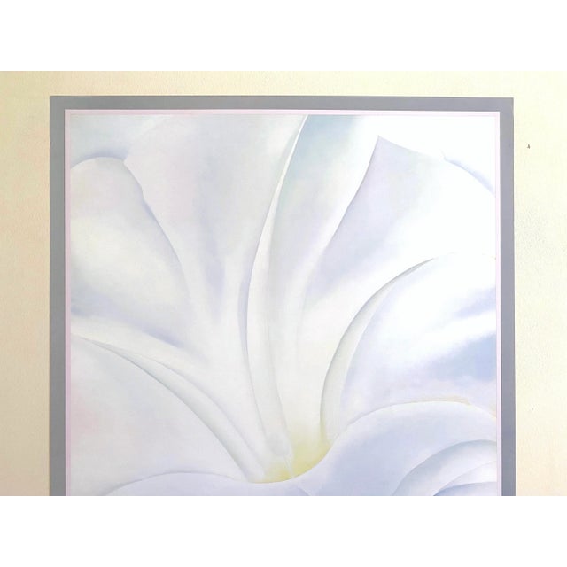Mid-Century Modern Georgia O'Keeffe Vintage 1988 Lithograph Print Museum Poster " Morning Glory With Black " 1926 For Sale - Image 3 of 12