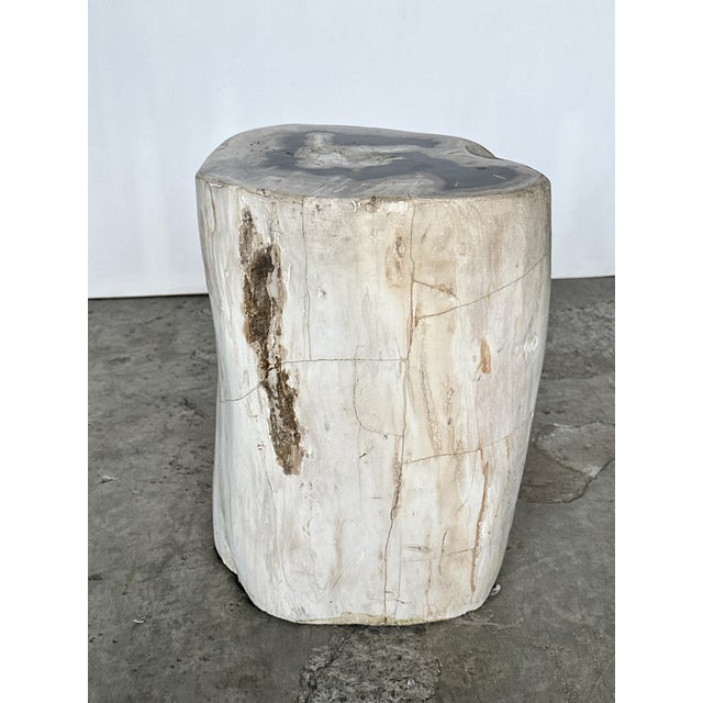 Side Table in Petrified Wood For Sale - Image 6 of 18