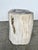 Side Table in Petrified Wood For Sale - Image 6 of 18