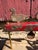 A fabulous mottled carnival red case highlights this surviving pair of cast iron shooting gallery ducks with strong carved...