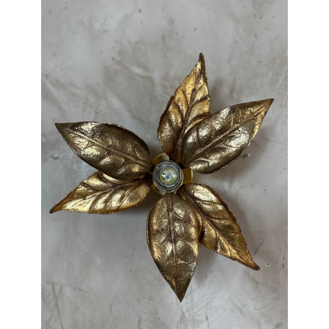 Wall Lights attributed to Willy Daro, 1970s, Set of 2 For Sale - Image 12 of 14