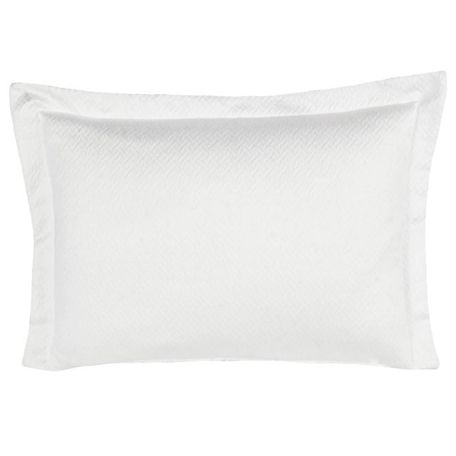 Contemporary Tagami Cotton Standard Sham, Pearl For Sale - Image 3 of 3