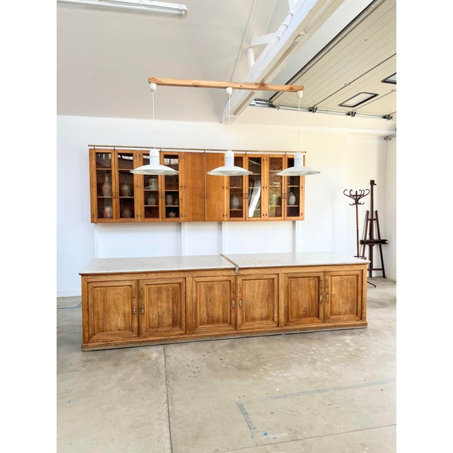 Pharmacy Wall Display Cabinet, 1950s For Sale - Image 11 of 13