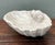 Vintage Italian Carved Wood Shell Bowl For Sale - Image 12 of 12