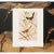 Paper 1966 Vintage Cottage Print "Rufous-Sided Towhee" After John James Audubon For Sale - Image 7 of 8