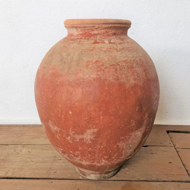 Tinaja Impruneta Wine Amphora in Terracotta. Spain, 1880s For Sale - Image 6 of 7