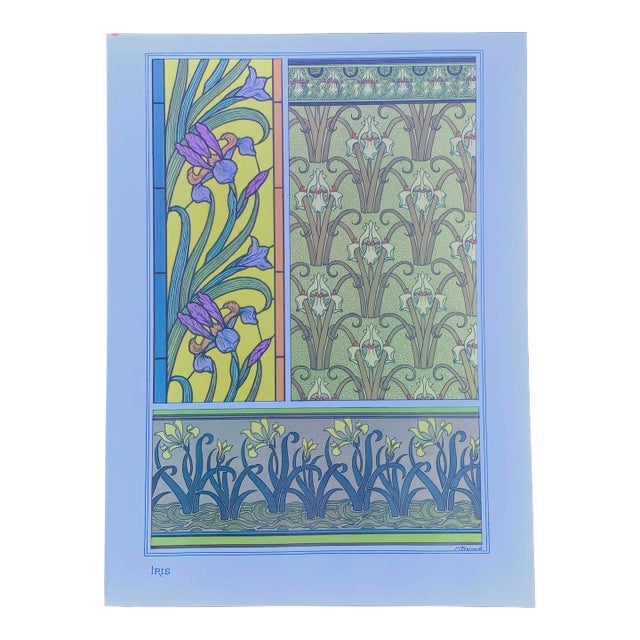 Art Nouveau Floral Botanical Illustration Iris Flower For Sale