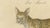 Early 19th Century Karl Joseph Brodtmann, Serval and Eurasian Lynx, 1816, Lithograph For Sale - Image 5 of 9