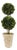 Boxwood Double Ball Topiary For Sale