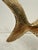 1970s Brass Tropical Fish Sculpture on Stand, Hollywood Regency Style For Sale - Image 12 of 12