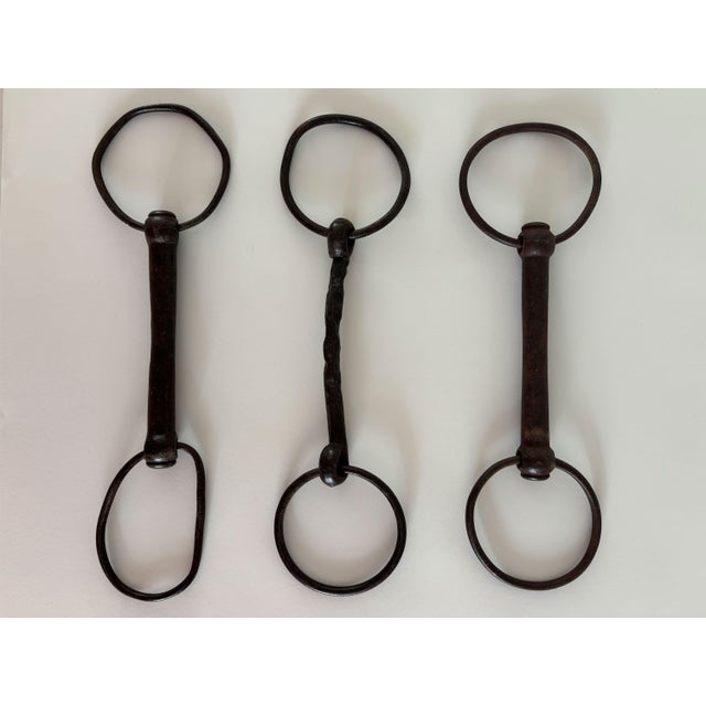 1900 - 1909 1900s Antique Horse Bits, Set of 3 For Sale - Image 5 of 8
