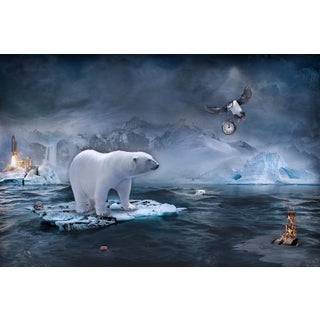 Vanishing Motherland by Marcin Owczarek | Photography - Dye Sublimation on Aluminum of a polar bear on melting ice For Sale