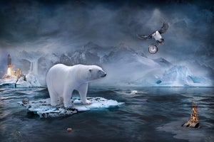 Vanishing Motherland by Marcin Owczarek | Photography - Dye Sublimation on Aluminum of a polar bear on melting ice