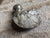 Carved Stone Hippopotamus Group, Zimbabwe, Set of Three For Sale - Image 9 of 13