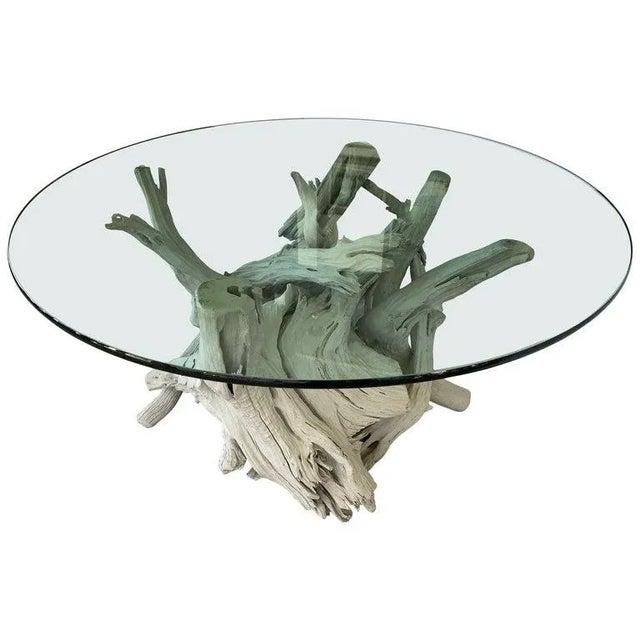 Mid-Century Modern Driftwood Center Table Round Glass Top For Sale - Image 13 of 13