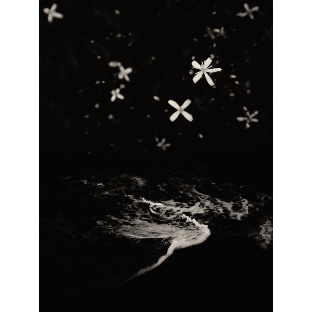 Gaia Diptych #23 by Jaume Llorens Bach is a 18cm x 24cm Black and White print on Premio Kozo gsm White Paper by Awagami...