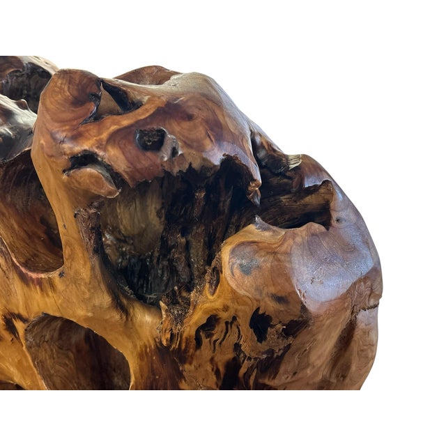Wood Amorphic Handcrafted Root Wood Wine Rack For Sale - Image 7 of 9