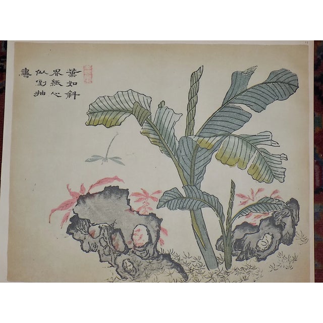 This pair of vintage mid 20th century signed (in the plate) color lithographs (not offset) depict botanical images by...