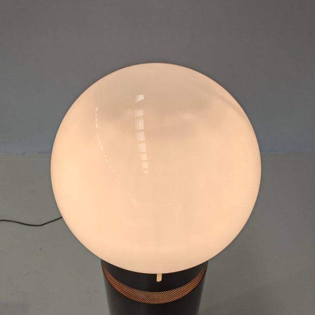Brown Oracle Floor Lamp by Gae Aulenti for Artemide, 1969 For Sale - Image 8 of 18