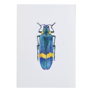 Juris Utans, Precious Turquoise Beetle, 2021, Mixed Media on Paper For Sale