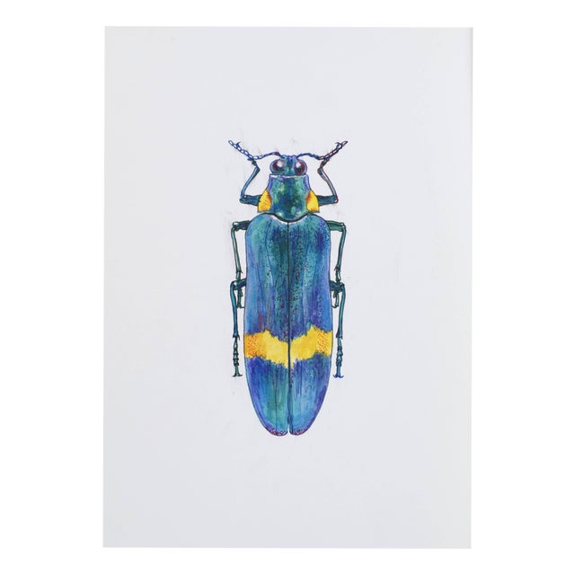 Juris Utans, Precious Turquoise Beetle, 2021, Mixed Media on Paper For Sale