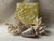 Rare Cambridge Tile Works Victorian Seashell Tile in Luminous Yellow Glaze, C. 1850 For Sale - Image 4 of 11