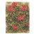 1945 Botanical Watercolor Lithograph-Rhododendron For Sale