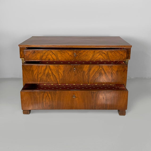Traditional 19th Century Empire Italian Chest of Drawers in Wood For Sale - Image 3 of 18
