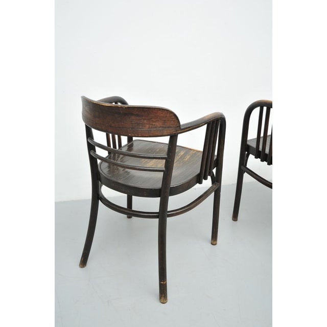Set of Model 6093 Chairs in Beech by Jacob & Josef Kohn, Vienna, Austria, 1890s For Sale - Image 9 of 18