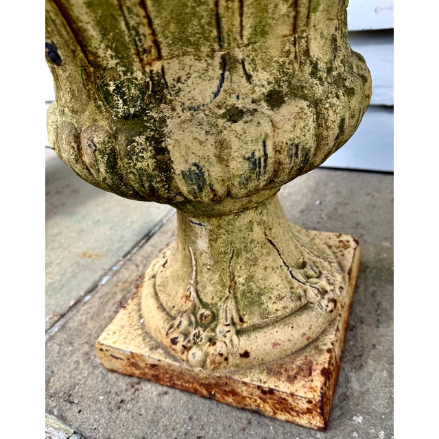 Pair 19th Century White Painted Cast Iron Garden Urns With Ring Handles and Masks For Sale - Image 10 of 17