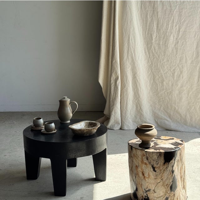 Side Table in Petrified Wood with Black Spots, 1980s For Sale - Image 13 of 18