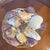 Grand Tour Curated Grand Tour-Style Specimen Seashell Collection in Woven Basket For Sale - Image 3 of 4