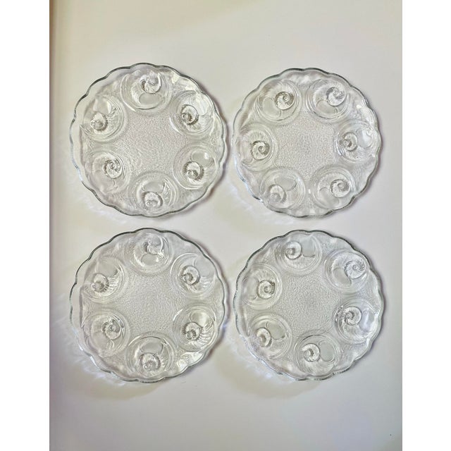 Vintage Spiral Shell Plates- Set of 4 For Sale - Image 4 of 8