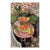 Matisse Goldfish Numbered Giclee For Sale