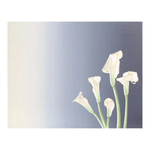White Calla Lilies 2, Jochen Labriola