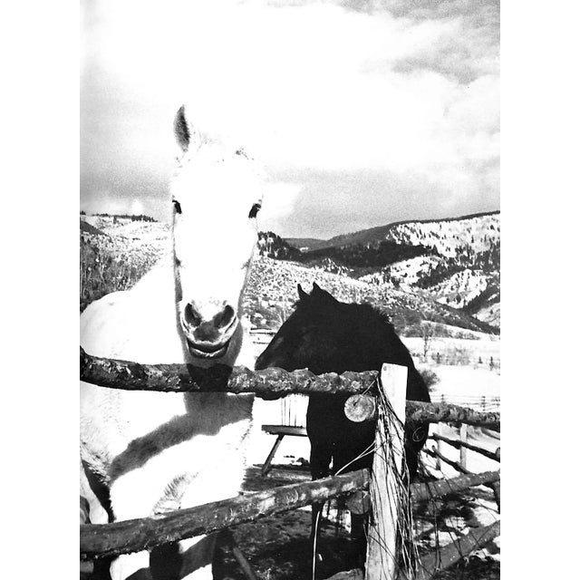 Paper "America" 1985 Warhol, Andy For Sale - Image 7 of 12